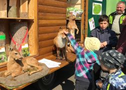 Holzmarkt In Jena 060419 00028